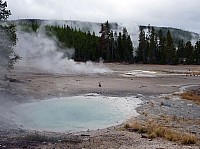 Yellowstone Norris Geyser (93).JPG